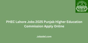 PHEC Lahore Jobs 2025 Punjab Higher Education Commission Apply Online