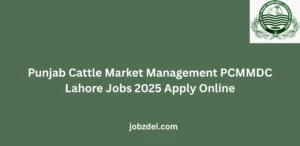 Punjab Cattle Market Management PCMMDC Lahore Jobs 2025 Apply Online